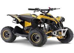 kids Quad Bike