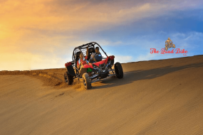 The Evening Desert Safari + Dune Buggy